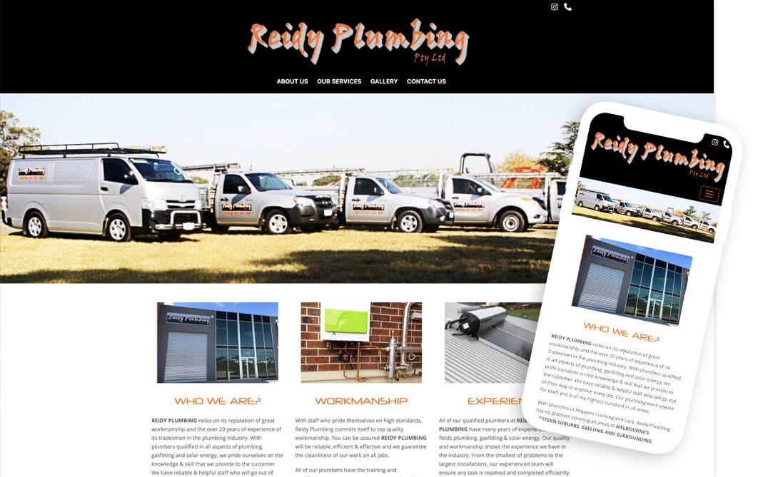 Reidy Plumb Article