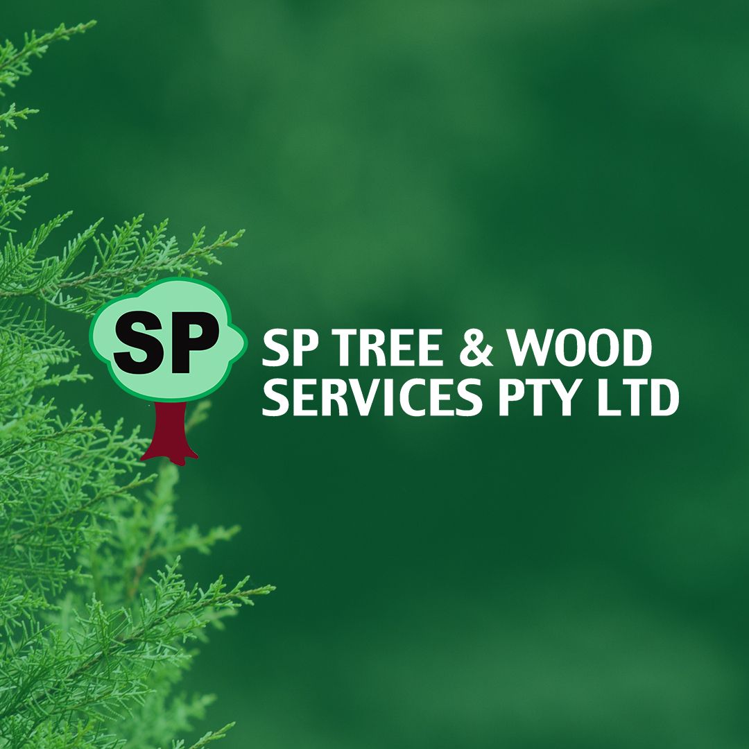 Sp Tree Square