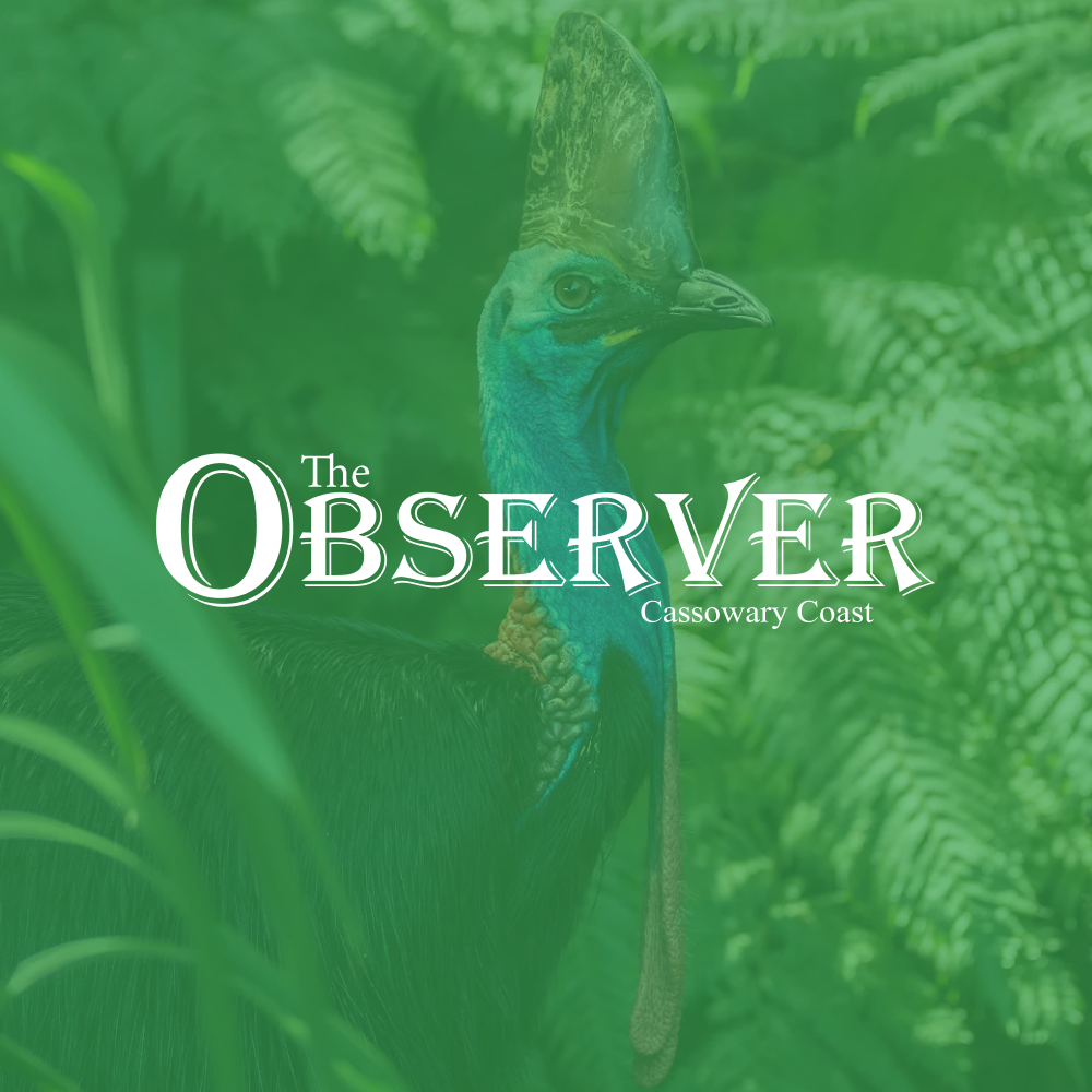 Observer Cc Social