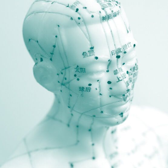 Body Brain Centre